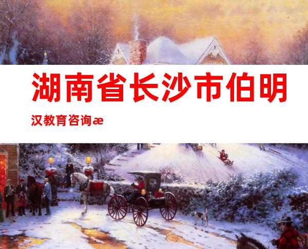 湖南省长沙市伯明汉教育咨询有限公司